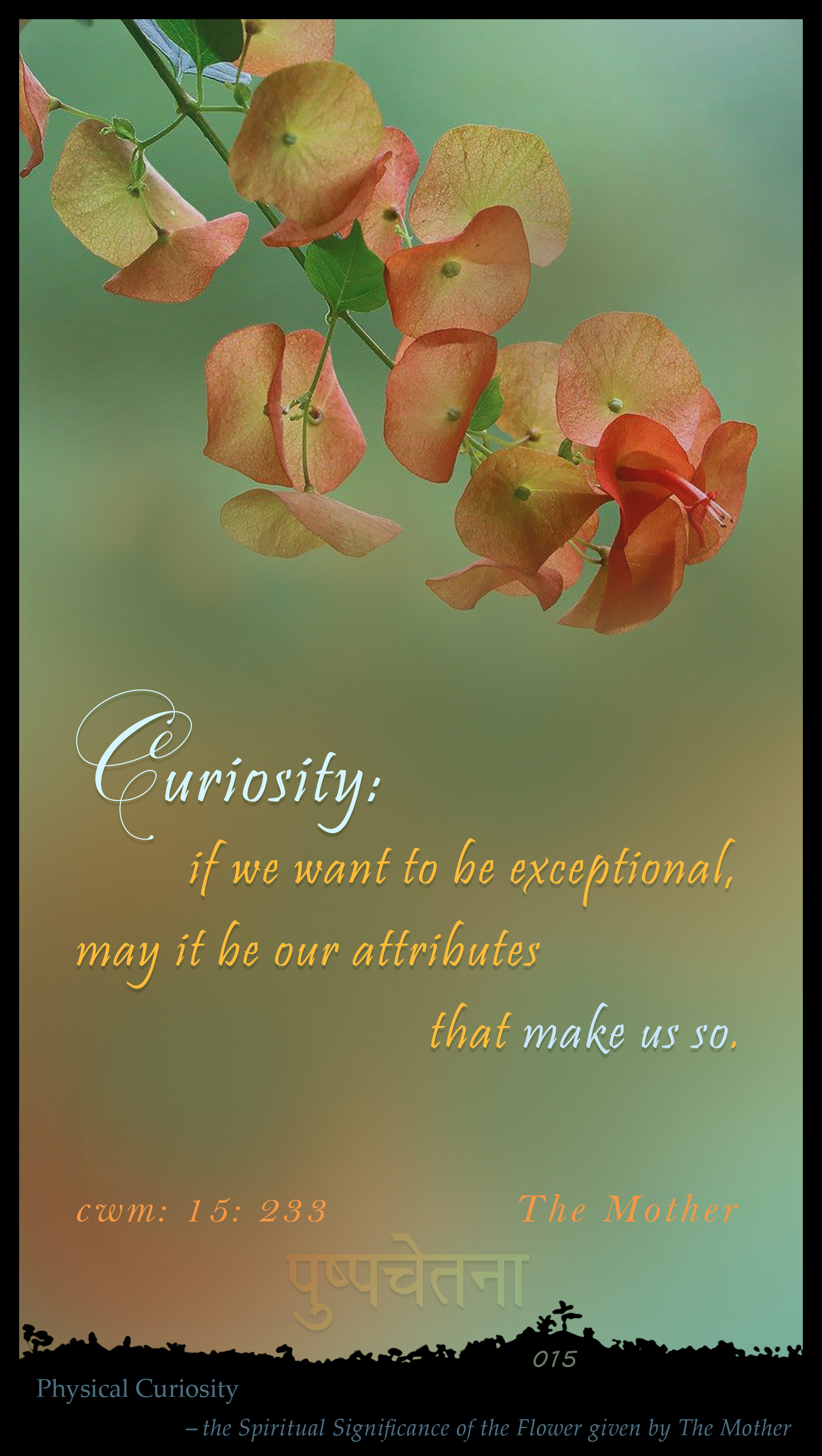 Curiosity